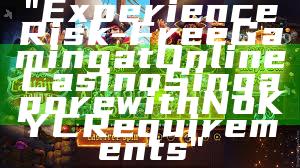 "Experience Risk-Free Gaming at Online Casino Singapore with No KYC Requirements"